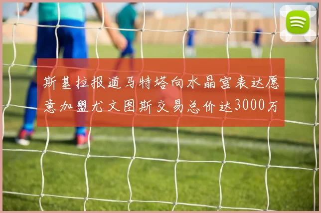 斯基拉报道马特塔向水晶宫表达愿意加盟尤文图斯交易总价达3000万欧元