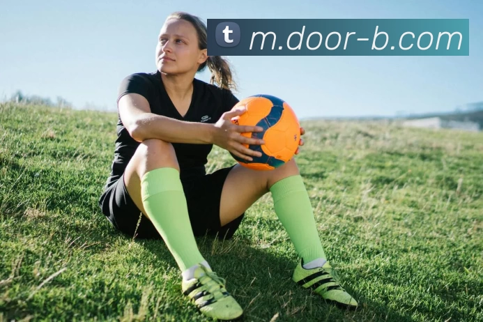 B体育平台生态图