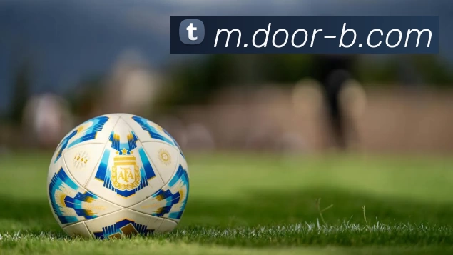 B体育APP 封面图